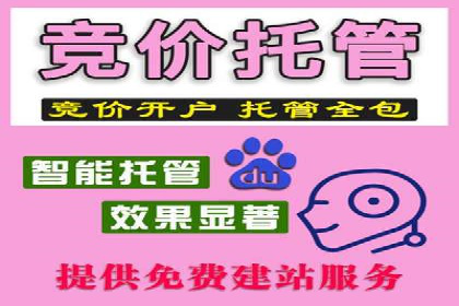 搜索开户返点政策下的成功案例分析